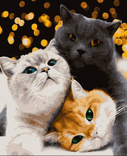 Картина за номерами «Котики-муркотики»