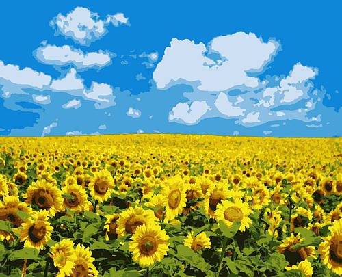 Картина за номерами «Поле соняхів»